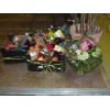 Bilder DV Schlierbach 008