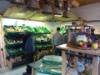 P1000581