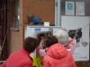 P1000583