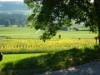MEMO0036